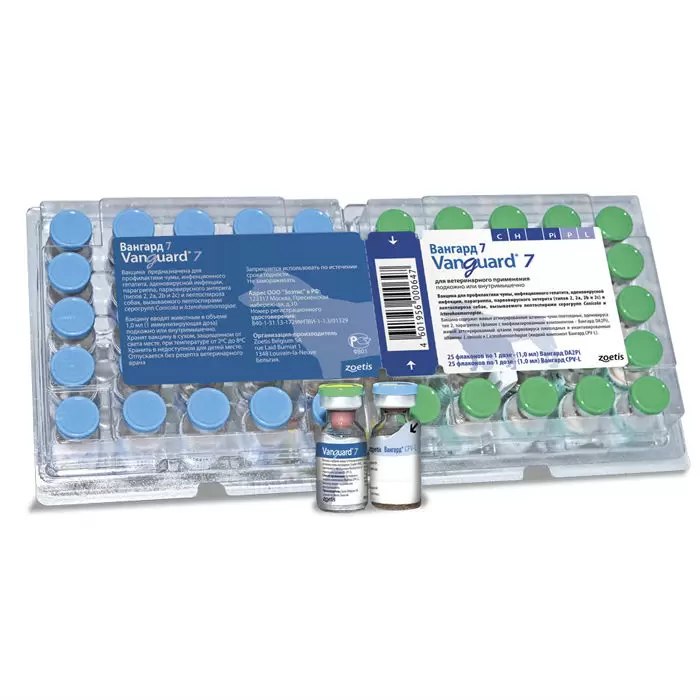 Вакцина Вангард 7DA2Pi + CPV-L, доза, 2 флакона
