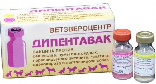 Вакцина Дипентавак, 1 доза, фл.